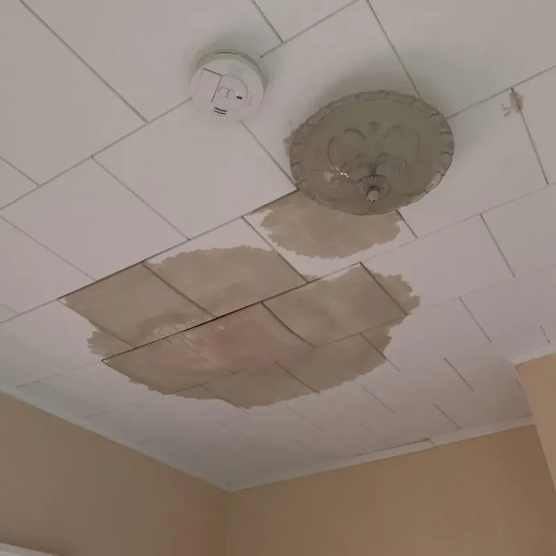 Ceiling Water Damage Repair in Princeton, NJ